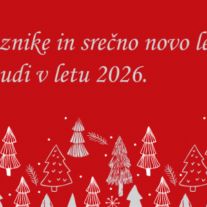 Praznični delovni čas